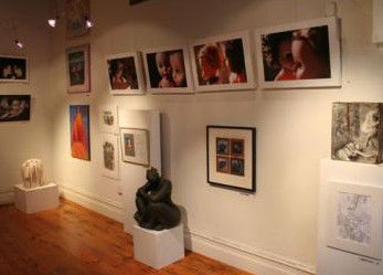 Bird's Gallery - Hotel VIC 2
