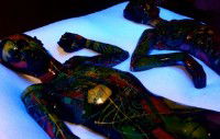 Yarra Sculpture Gallery - Hotel VIC 2