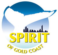 Spirit of Gold Coast Whale Watching - Hotel VIC