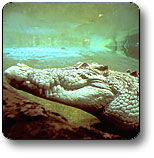 Kakadu National Park - Hotel VIC 1