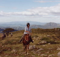 High Country Horses - Hotel VIC