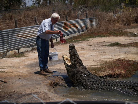 Koorana Saltwater Crocodile Farm - Hotel VIC 1