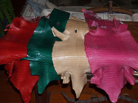 Koorana Saltwater Crocodile Farm - Hotel VIC 2