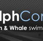 Dolphcom - Dolphin  Whale Swimming Adventures - Hotel VIC