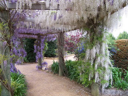 Abingdon Miniature Village - Hotel VIC 0