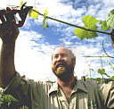 Barossa Experience Tours - Hotel VIC