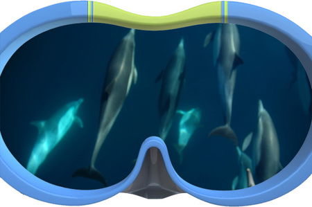 Dolphin Swim Australia - Hotel VIC 3