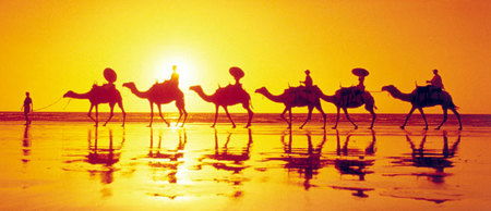 Banksia Adventures - Hotel VIC 1