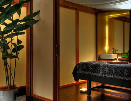 Pure Energy Concept Spas - Hotel VIC 2