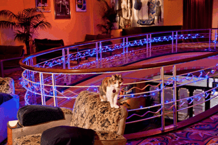 The Astor Theatre - Hotel VIC 3