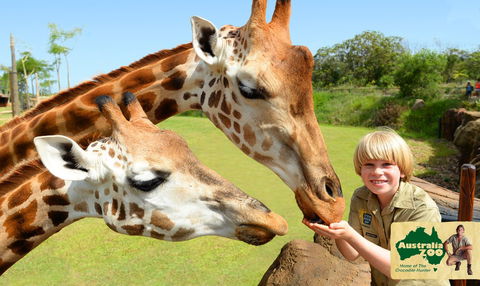 Australia Zoo - Hotel VIC 4