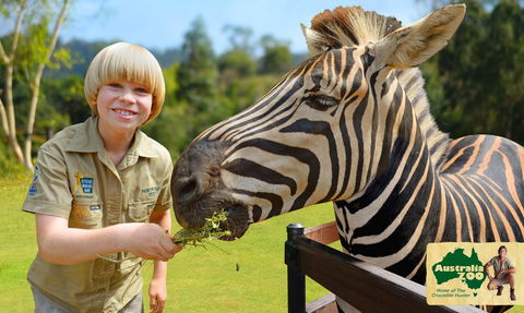 Australia Zoo - Hotel VIC 5