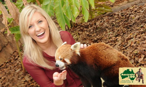 Australia Zoo - Hotel VIC 7
