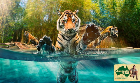 Australia Zoo - Hotel VIC 9