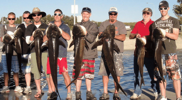 BKs Gold Coast Fishing Charters - Hotel VIC 1