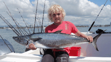 BKs Gold Coast Fishing Charters - Hotel VIC 3