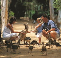 Billabong Sanctuary - Hotel VIC