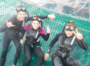 Dolphin Swim Australia - Hotel VIC 7
