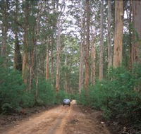 Boranup Drive - Hotel VIC