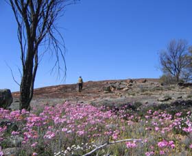 Talgomine Reserve - Hotel VIC 0