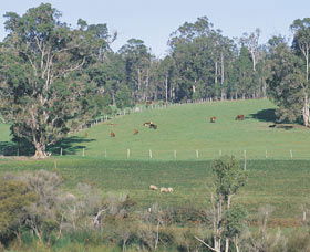 Scenic Drives - Bunbury Collie Donnybrook - Hotel VIC 0