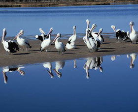 Peel Region Canoe Trails - Hotel VIC 0