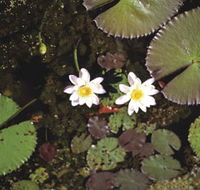 Parry Lagoons Nature Reserve - Hotel VIC