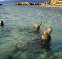 Shoalwater Islands Marine Park - Hotel VIC
