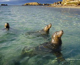 Shoalwater Islands Marine Park - Hotel VIC 0