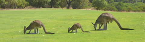Rockingham Golf Club - Hotel VIC 3