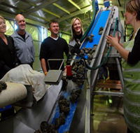 Eyre Peninsula's Seafood Trail - Hotel VIC