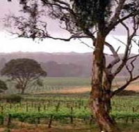 Yangarra Estate Vineyard - Hotel VIC