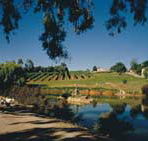 Mount Hurtle Winery home of Geoff Merrill Wines - Hotel VIC