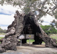 The Herbig Family Tree - Hotel VIC