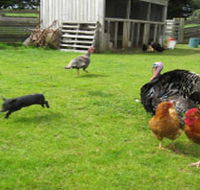 Echo Farm - Hotel VIC