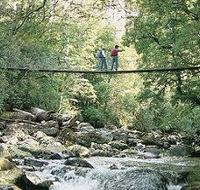 Arve Forest Drive - Hotel VIC