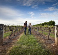 Coonawarra Wineries Walking Trail - Hotel VIC