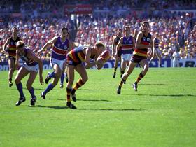 AAMI Stadium Tours - Hotel VIC 0