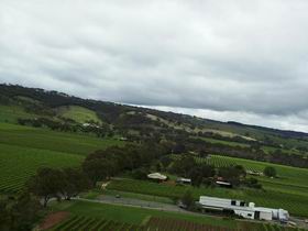 Kangarilla Road Vineyard And Winery - Hotel VIC 0