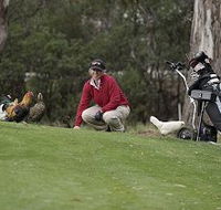 Tasmania Golf Club - The - Hotel VIC