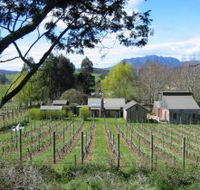Wilmot Hills Vineyard - Hotel VIC