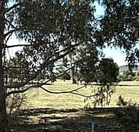 Cygnet Public Golf Course - Hotel VIC