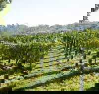 Surveyor's Hill Vineyards - Hotel VIC
