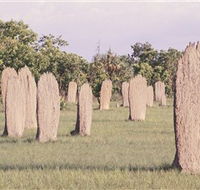 Magnetic Termite Mounds - Hotel VIC