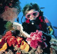 Cook Island Dive Site - Hotel VIC