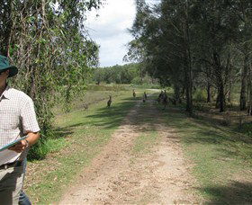 Coombabah Lakes Conservation Area - Hotel VIC 0
