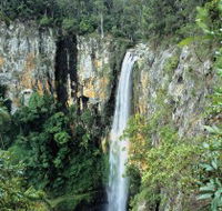 Gondwana Rainforests of Australia - Hotel VIC