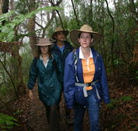 Mount Cougal Springbrook National Park - Hotel VIC