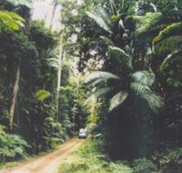 Conondale Great Walk