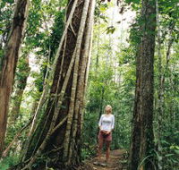 Wet Tropics - Hotel VIC